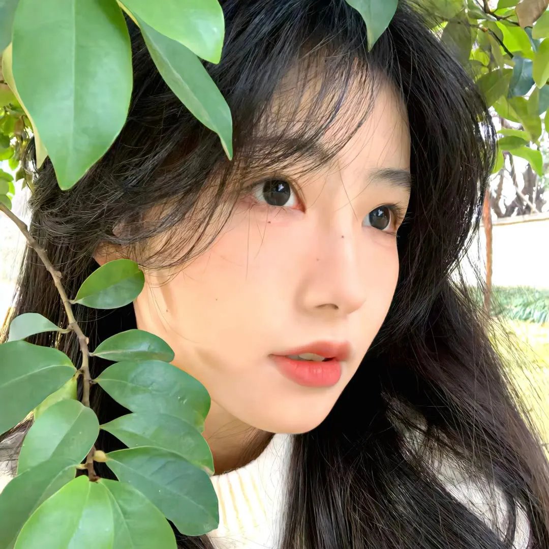 鹰之眼